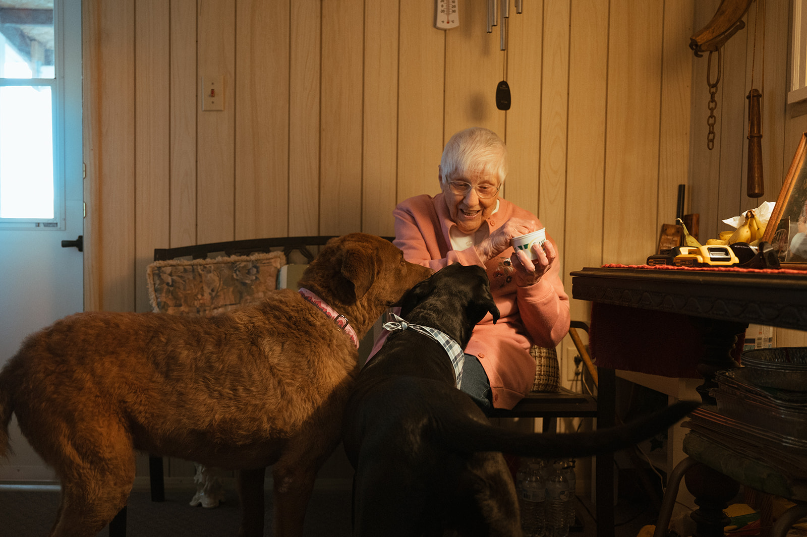 Pittsburgh-family-portrait-grandmother-and-dogs